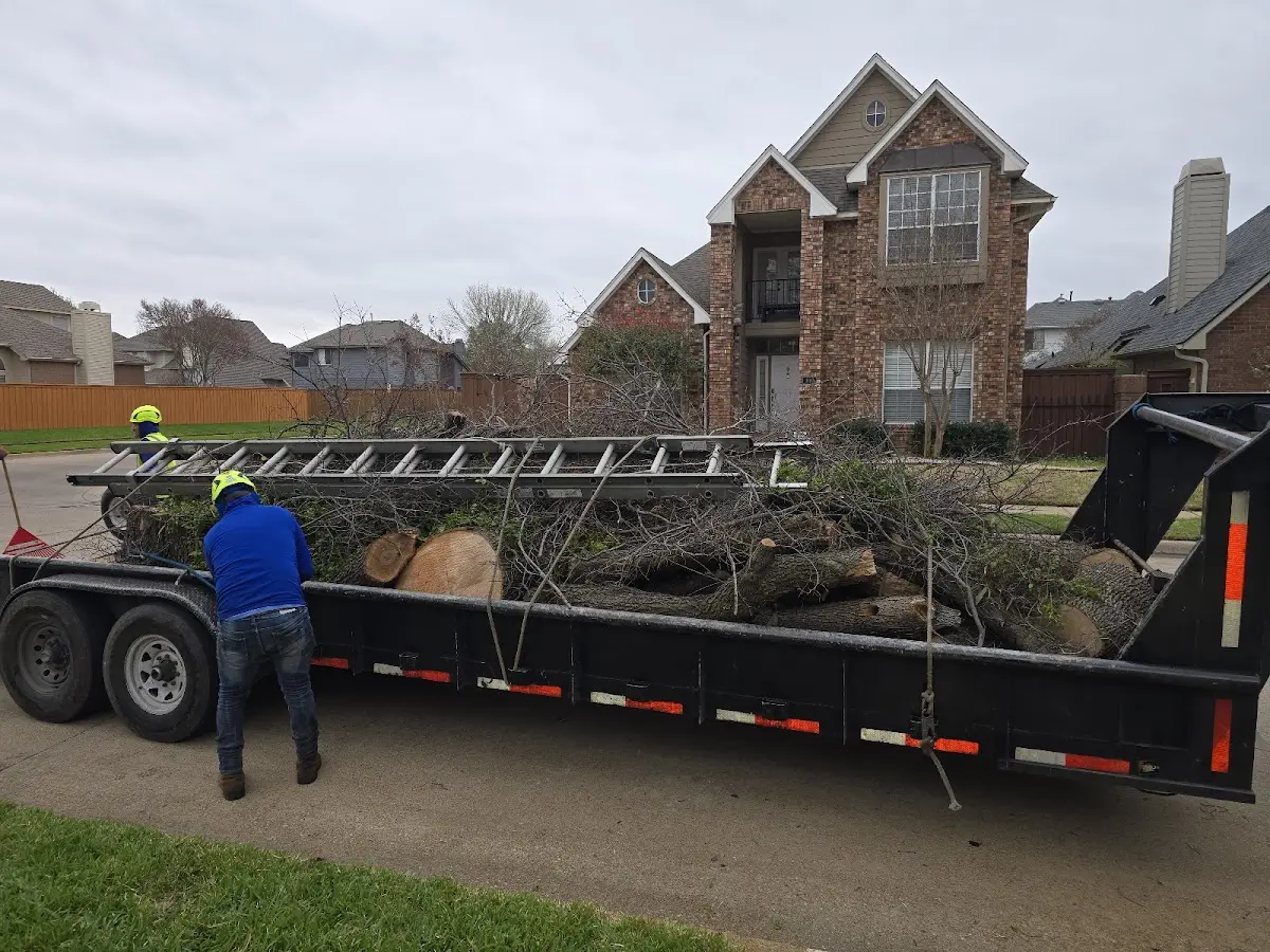 Expert Tree Pest Control with proper safety equipment in Harbor Beach